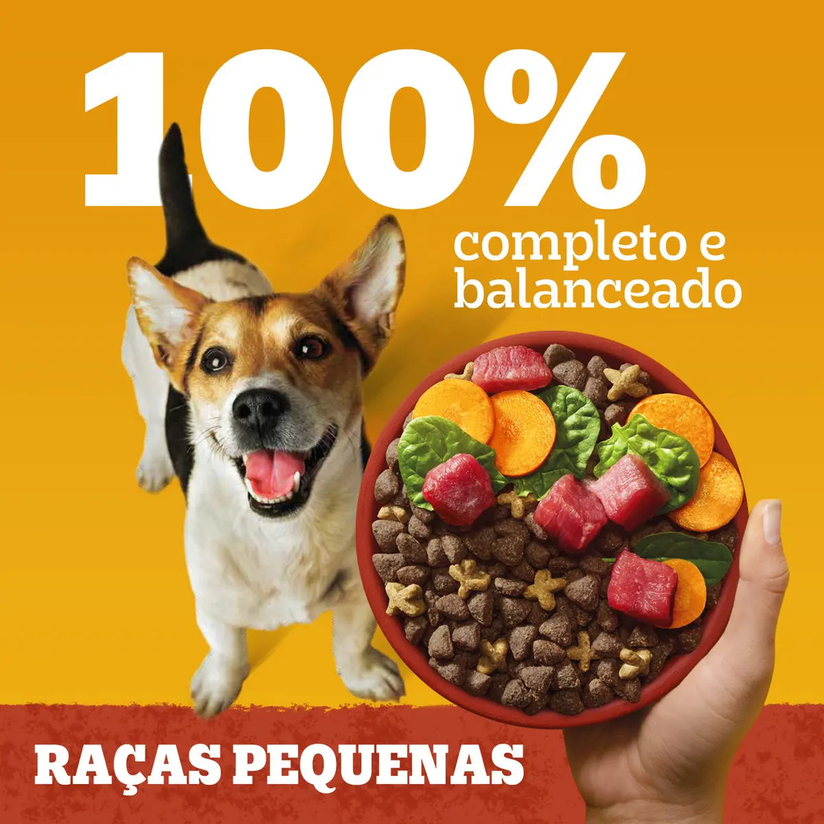 Ração Pedigree Cães Adultos Raças Pequenas 10,1kg — foto 3